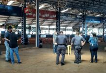 Vigilância Sanitária interrompe competição de cavalos em haras de Bálsamo