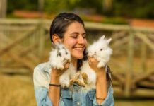 Fazendinha é um dos atrativos do Foz do Marinheiro