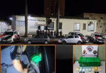 Força Tática prende dupla com 27kg de maconha em rodovia