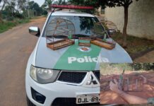 Homem é autuado por manter canários-da-terra em cativeiro