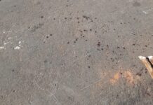 Policial de folga salva três pessoas durante ataque de pitbull