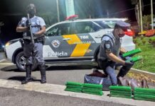 Passageira de ônibus é presa após ser flagrada com tijolos de maconha escondidos em bagagem