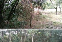 Chacareira é multada em R$ 3,9 mil por degradação ambiental em Área de Preservação Permanente