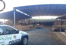Madeireira é multada em quase R$ 4 mil por divergência em estoque de madeira nativa