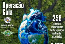 Polícia Militar Ambiental divulga os resultados da Operação Gaia