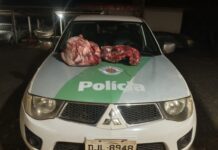 Polícia Ambiental localiza 28 kg de carne de capivara e multa homem, em Populina