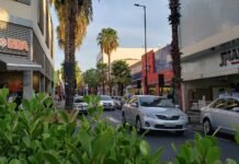 Sábado tem comércio aberto até 18h