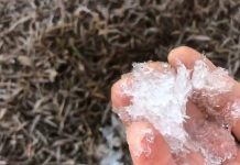 Votuporanga registra 2,5ºC em noite que cidades da região têm temperaturas negativas