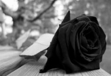 Falece Maria Aurélia da Silva, aos 69 anos