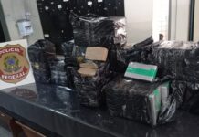 Caminhoneiro é preso após ser flagrado com 221 quilos de cocaína em rodovia de Tanabi