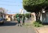 Saev Ambiental realiza mais de 18 mil podas de árvores gratuitas no primeiro semestre