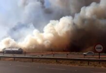 Incêndio de grandes proporções atinge plantação de cana-de-açúcar em Olímpia