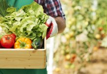 Prefeitura realiza chamamento de agricultores familiares para aquisição de produtos voltados à alimentação escolar