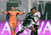 Palmeiras vence São Paulo e está na semifinal da Libertadores
