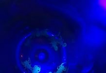 Votuporanga tem 348 acidentes com escorpiões neste ano