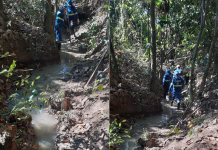 Saev Ambiental recupera nascente modelo do Córrego Boa Vista