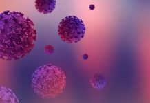 Variante delta do coronavírus é identificada na região de Votuporanga