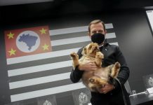 Governo de SP anuncia a criação de oito novas clínicas veterinárias gratuitas no estado até fim de 2022; custo é de R$ 50 milhões