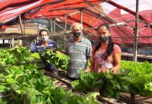 União e solidariedade: doações para Santa Casa