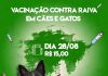 No dia “D” da vacinação contra a raiva clínica de Votuporanga estará realizando campanha com preços populares