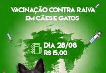 No dia “D” da vacinação contra a raiva clínica de Votuporanga estará realizando campanha com preços populares