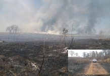 Fazendeiro é multado em R$ 120 mil por queimada em Valentim Gentil