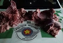 Polícia Ambiental flagra homens transportando carne de capivara em Américo de Campos
