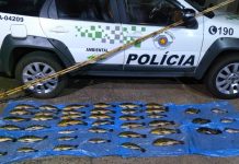 Homens são multados em mais de R$ 4 mil por pescar quantidade superior à permitida