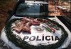 Dupla é autuada por matar capivara em Cosmorama