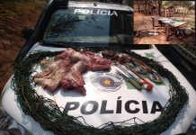 Dupla é autuada por matar capivara em Cosmorama