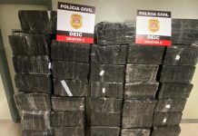Quase 4 toneladas de drogas são apreendidas na região de Rio Preto em seis meses; quantidade é a maior em 21 anos