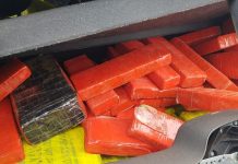 Polícia Federal prende duas pessoas em operação contra o tráfico de drogas na região de Rio Preto