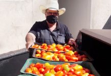 Produtores de Parisi fazem doações de tomates para a Santa Casa