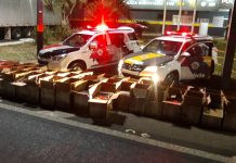 Duas pessoas são presas e mais de 2 toneladas de maconha são apreendidas na região de Araçatuba