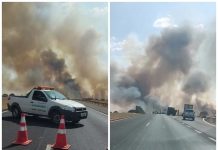 Queimada atinge área de vegetação e fumaça atrapalha motoristas em rodovia de Penápolis