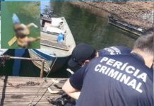 Cão é achado morto boiando em rio com sacola na cabeça e perfurações: ‘Muita maldade’, diz protetora