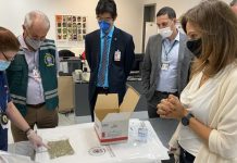 Ministério promove ação para evitar entrada da peste suína no país