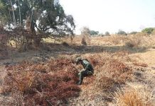 Mudanças climáticas empurram cidades da região para os extremos