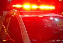 Homem é preso por matar shih-tzu de estimação a paulada e diz à polícia que agrediu animal por latidos