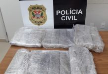 Homem é preso após ser flagrado com 15 quilos de maconha na Rodovia Marechal Rondon