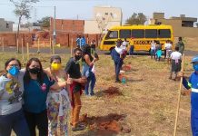 Dia da Árvore: Saev Ambiental encerra semana com diversas ações ambientais
