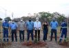 Saev Ambiental e Prefeitura promovem plantio de mudas em celebração ao Dia da Árvore