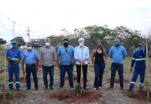 Saev Ambiental e Prefeitura promovem plantio de mudas em celebração ao Dia da Árvore