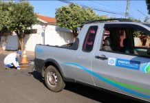 Serviço de controle de pragas da Saev Ambiental atende cerca de 1,5 mil pontos de visitas em menos de 15 dias