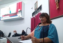 Jezebel Silva pede rapidez na instalação de torre de telefonia móvel na Vila Carvalho