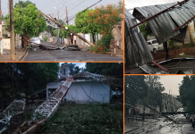 Temporal derruba árvores e deixa moradores da região sem energia elétrica