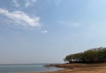 Nível do reservatório da hidrelétrica de Ilha Solteira cai para 1% da capacidade