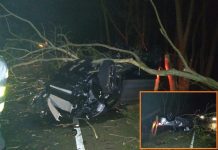 Prefeito de Urupês sai ileso após acidente em rodovia: ‘Não fiz um arranhão’