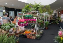 Exposição no Shopping Cidade Norte em Rio Preto celebra a chegada da Primavera
