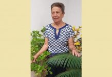 Falece Malfiza de Oliveira Pupim, aos 82 anos